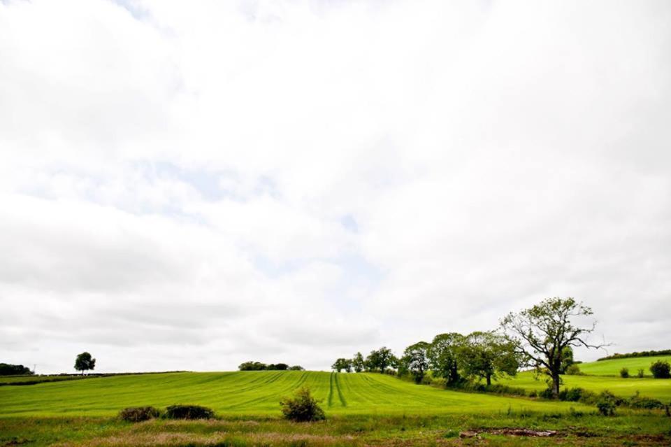Bamflatt Farm Bed&Breakfast Strathaven Rum bild